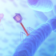 Illustration for article titled Can We Avoid an Antibiotic Apocalypse?
